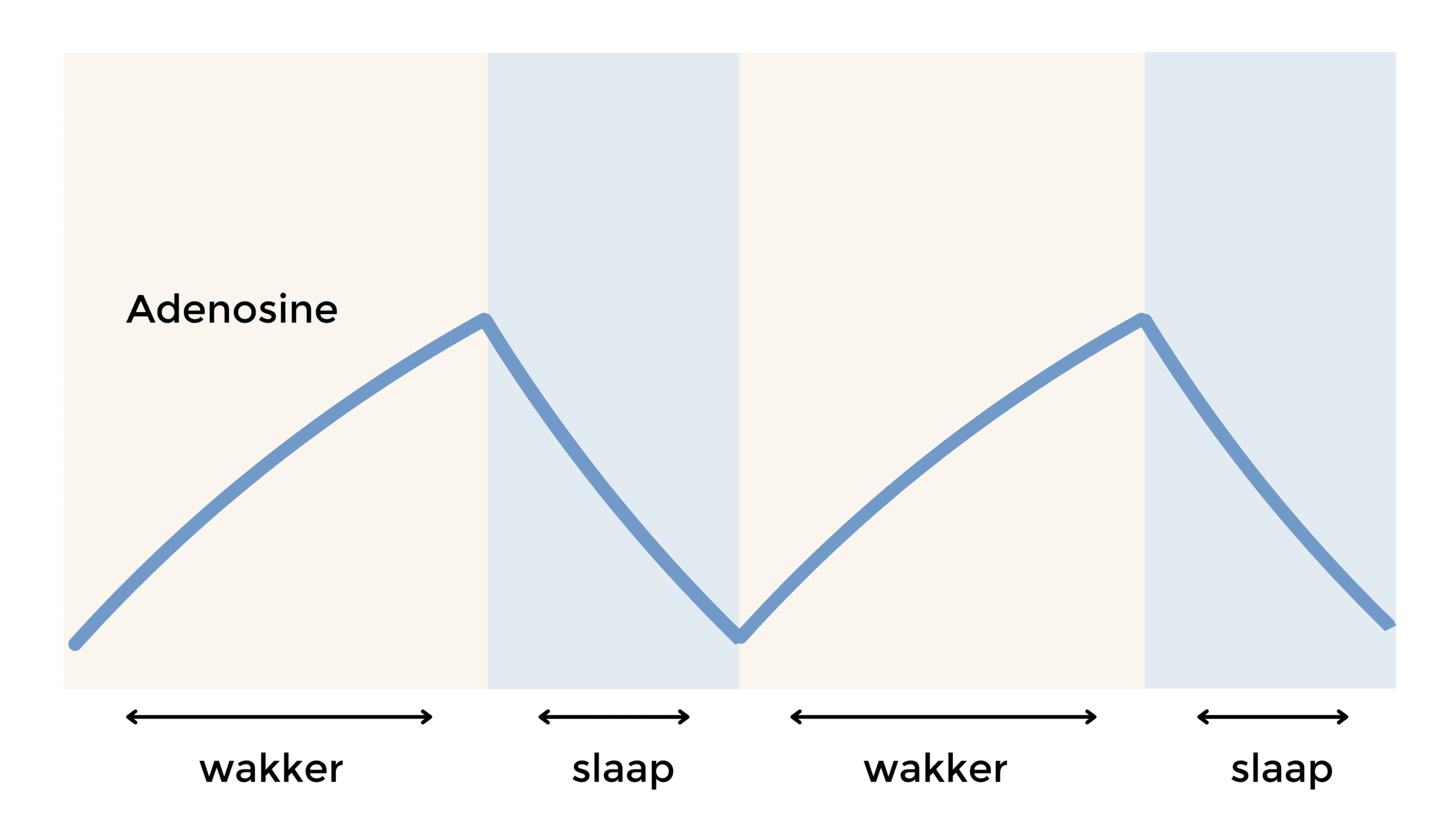Adenosine curve