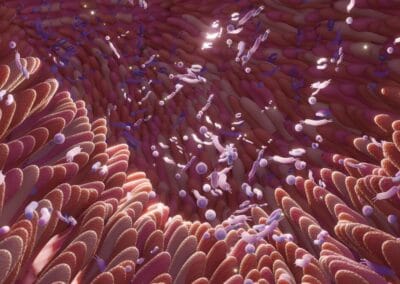 Het belang van het darmmicrobioom en hoe je het kunt optimaliseren