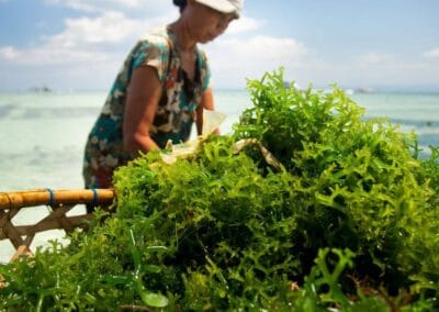 Jodium bij een plantaardig dieet: zo krijg je genoeg binnen 