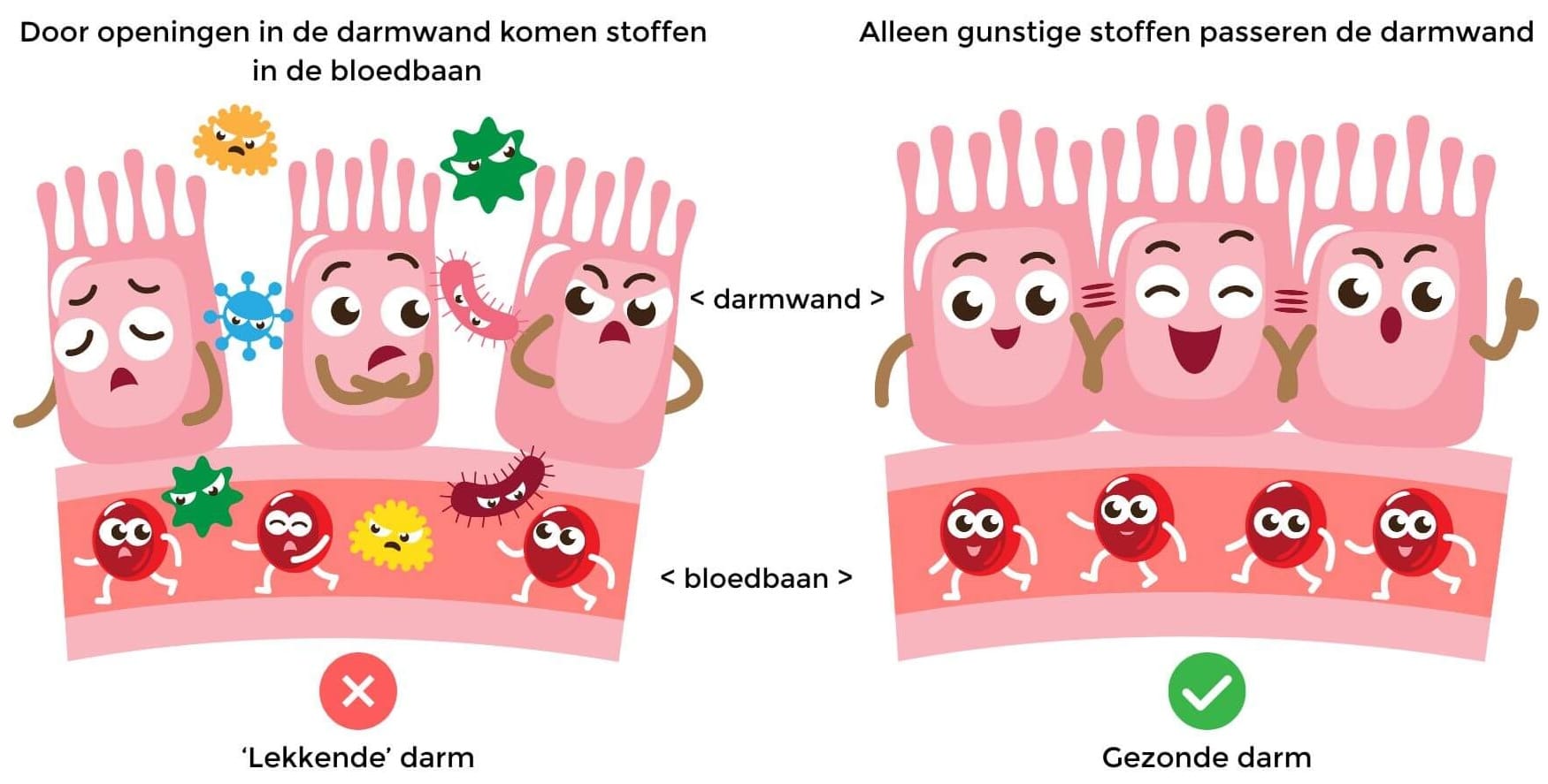 grafische voorstelling van een lekkende darm
