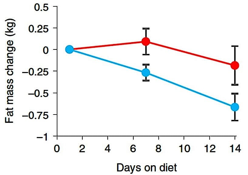 verlies aan vet bij een dieet