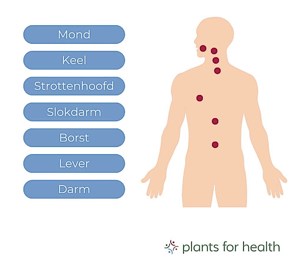 Wat alcohol met je doet