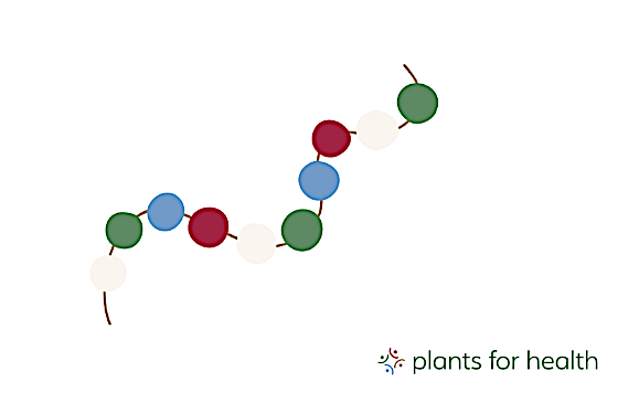 eiwitten bouwstenen van het lichaam Acceptance and Commitment Therapy