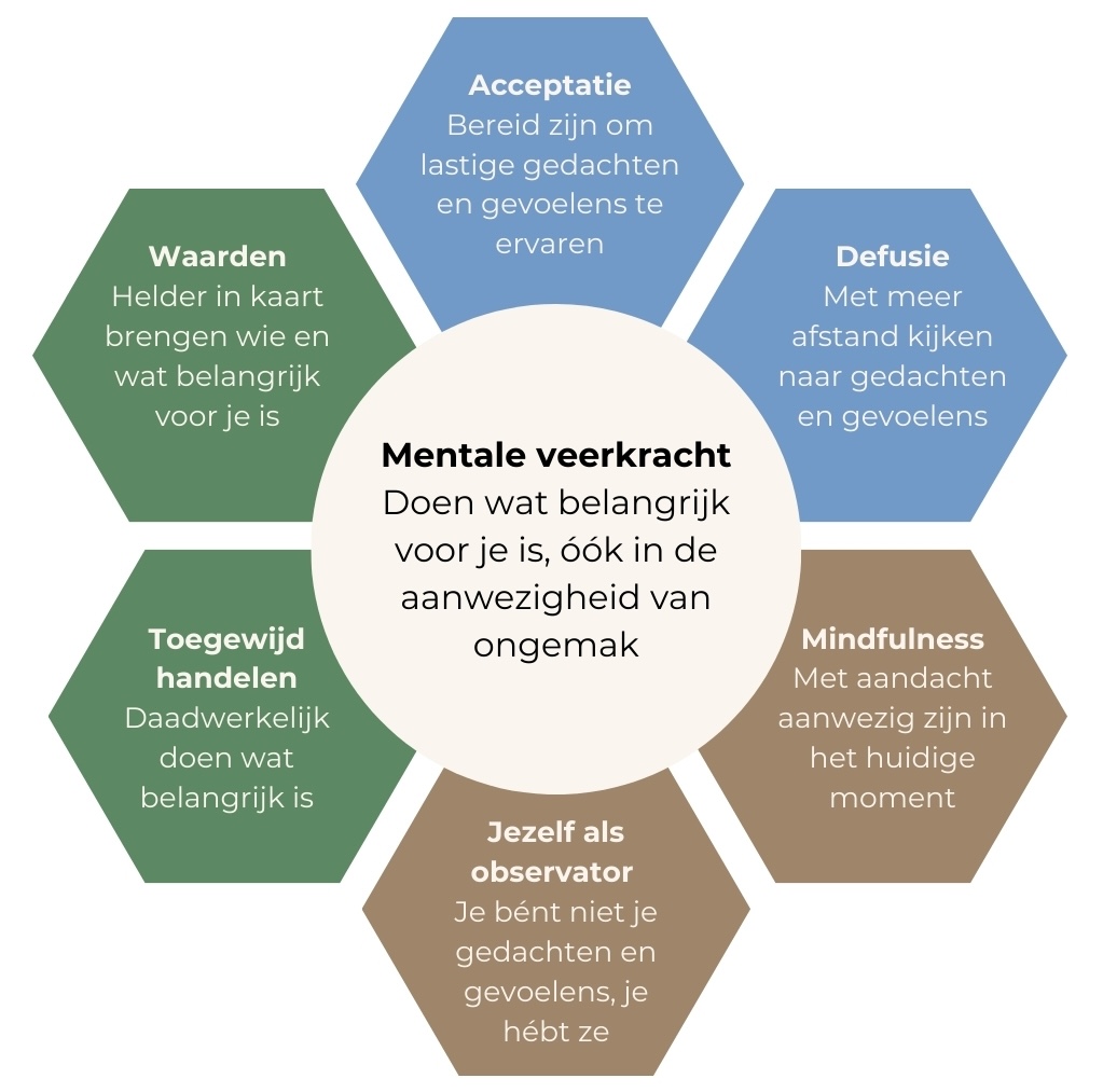 De zes kernprocessen van ACT