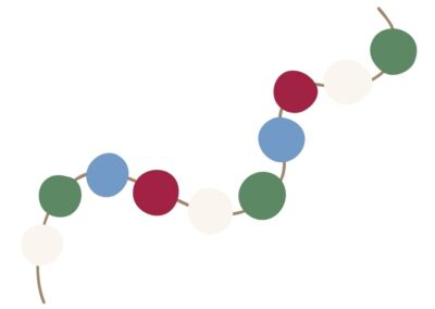 Plantaardige vs. dierlijke eiwitten: wat is beter voor spiergroei?