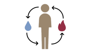 Wat is homeostase? De balans in cortisol en insuline