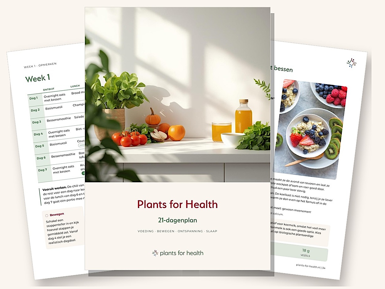 21-dagenplan E-book 21-dagenplan van Plants for Health: 21 dagen plantaardig eten